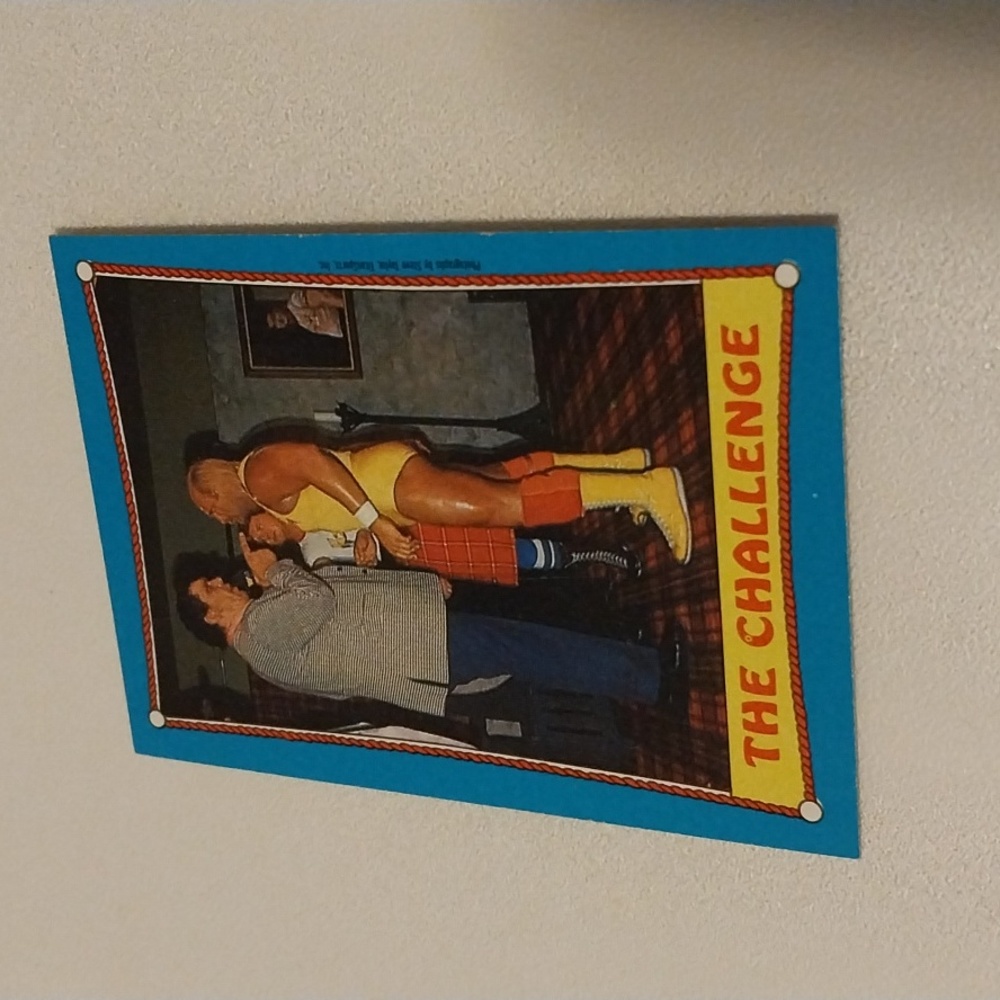 1987 Vintage Titan Sports Hulk Hogan Andre the Giant The Challenge WWF WWE WCW
